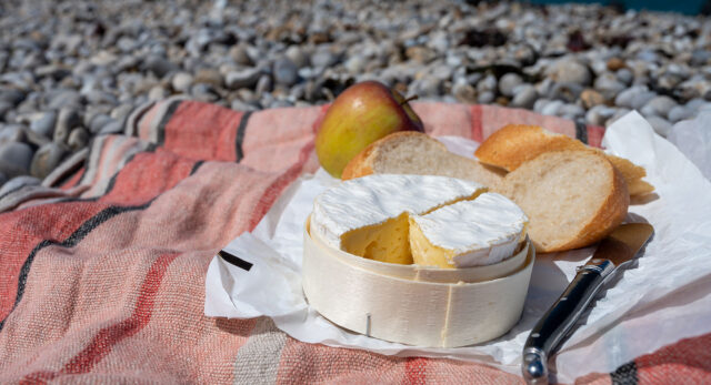 actu-site-invite-d_honneur-2024